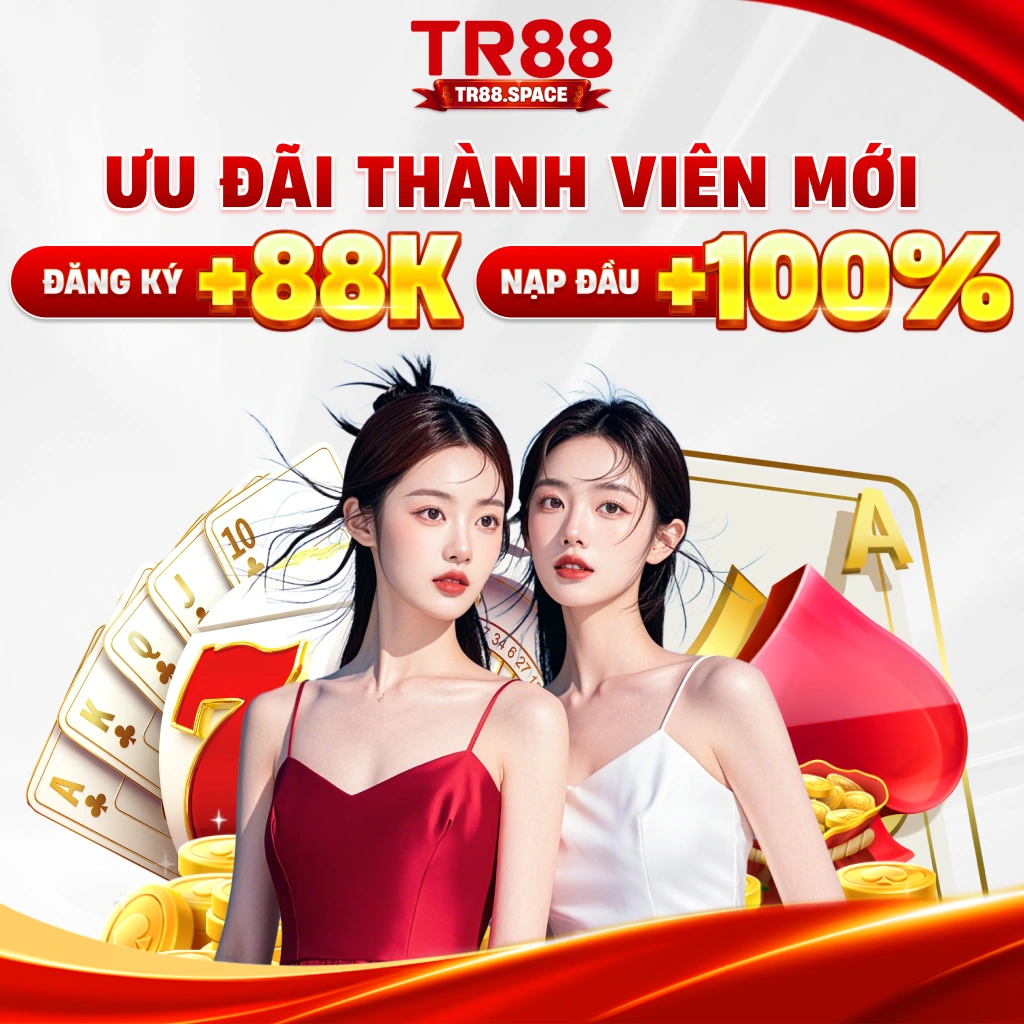 tr88space pc banner 1